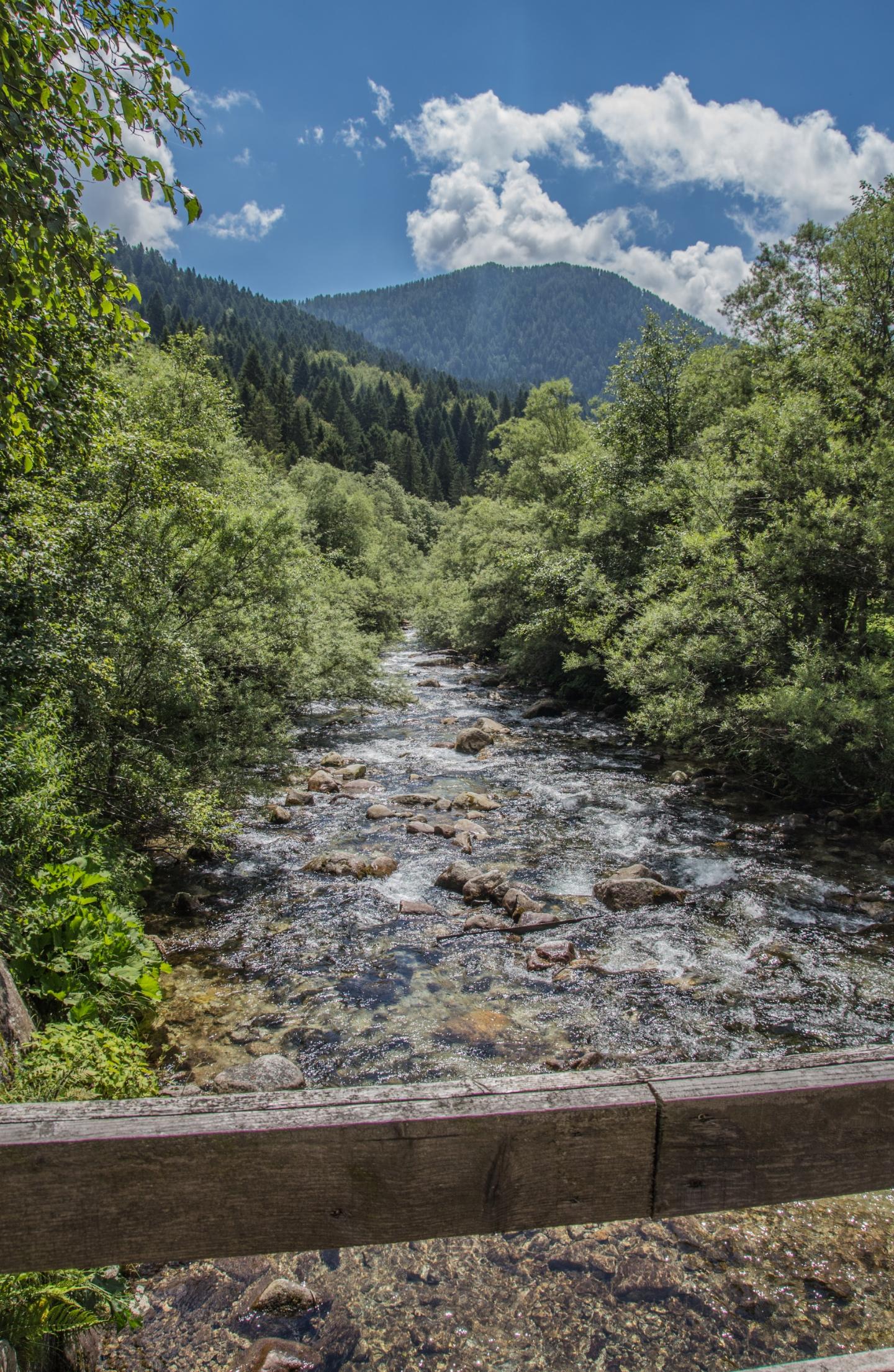 Fiume montano tra alberi verdi, cielo blu e nuvole bianche.